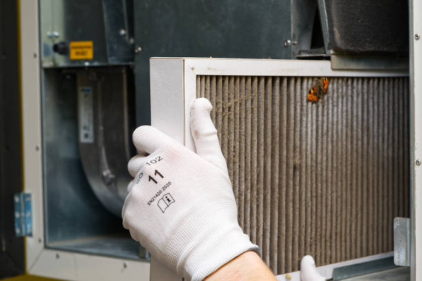 Best Local Air Duct Cleaning Services  in Seco Mines, TX
