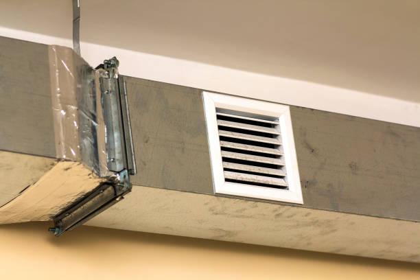 Air Duct Mold Removal in TX